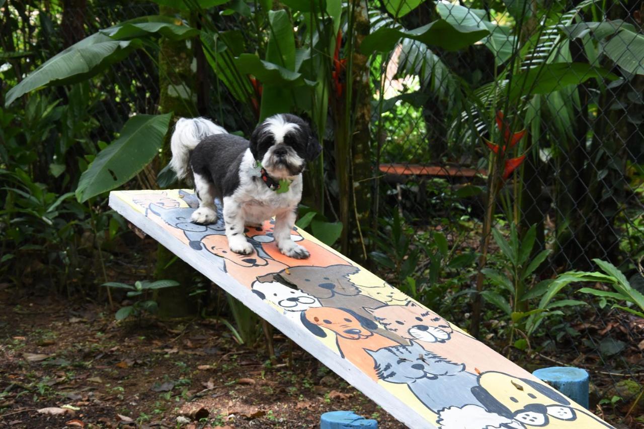 Pousada Portal Do Cacau-Petfriendly Camburi  Exterior foto